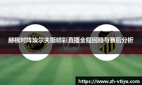 赫根对阵埃尔夫斯精彩直播全程回顾与赛后分析